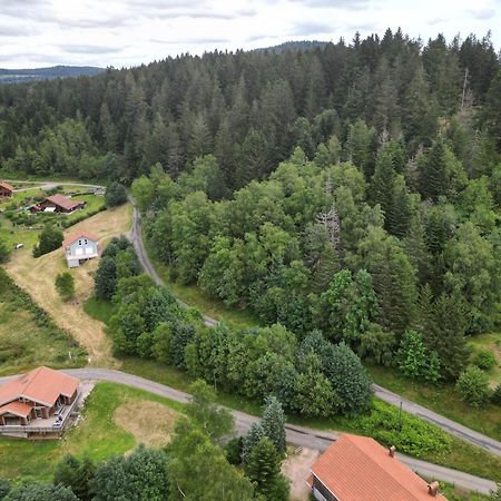 Chalet L'Appel De La Foret Gerardmer Bagian luar foto