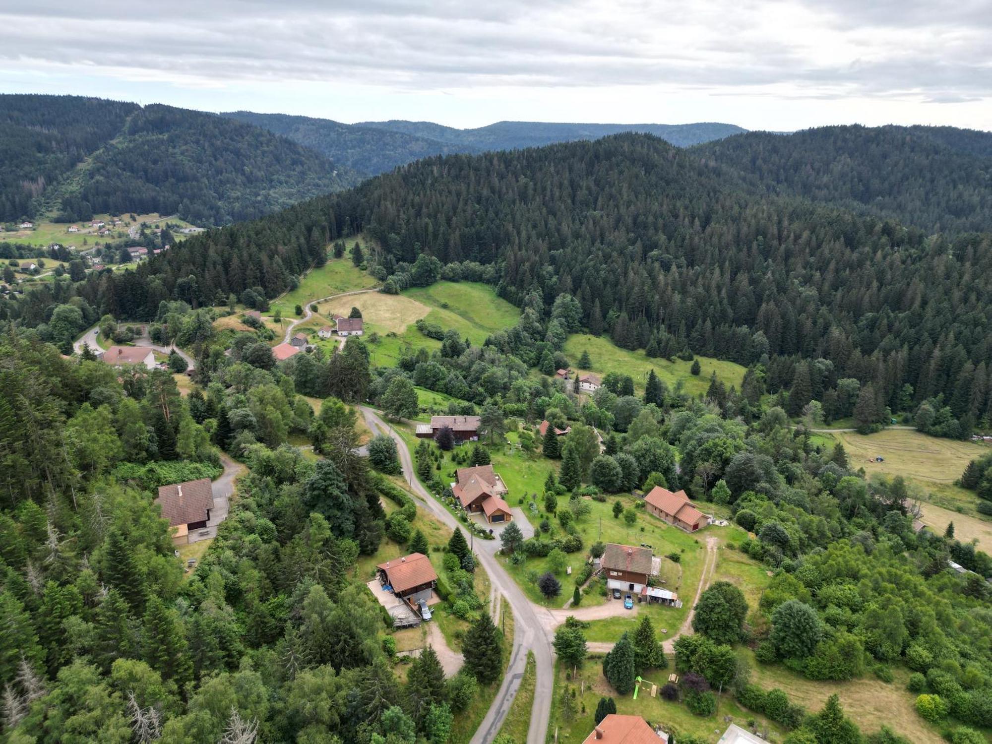 Chalet L'Appel De La Foret Gerardmer Bagian luar foto