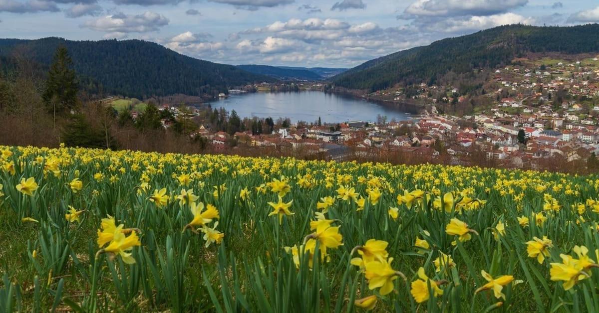 Chalet L'Appel De La Foret Gerardmer Bagian luar foto
